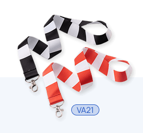 VA21