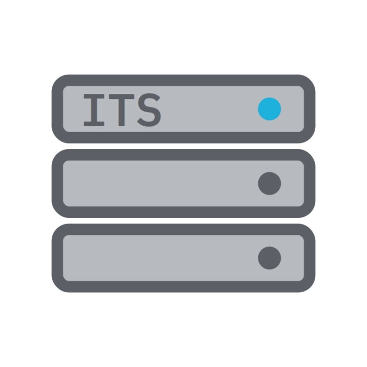 ic-its-server.png