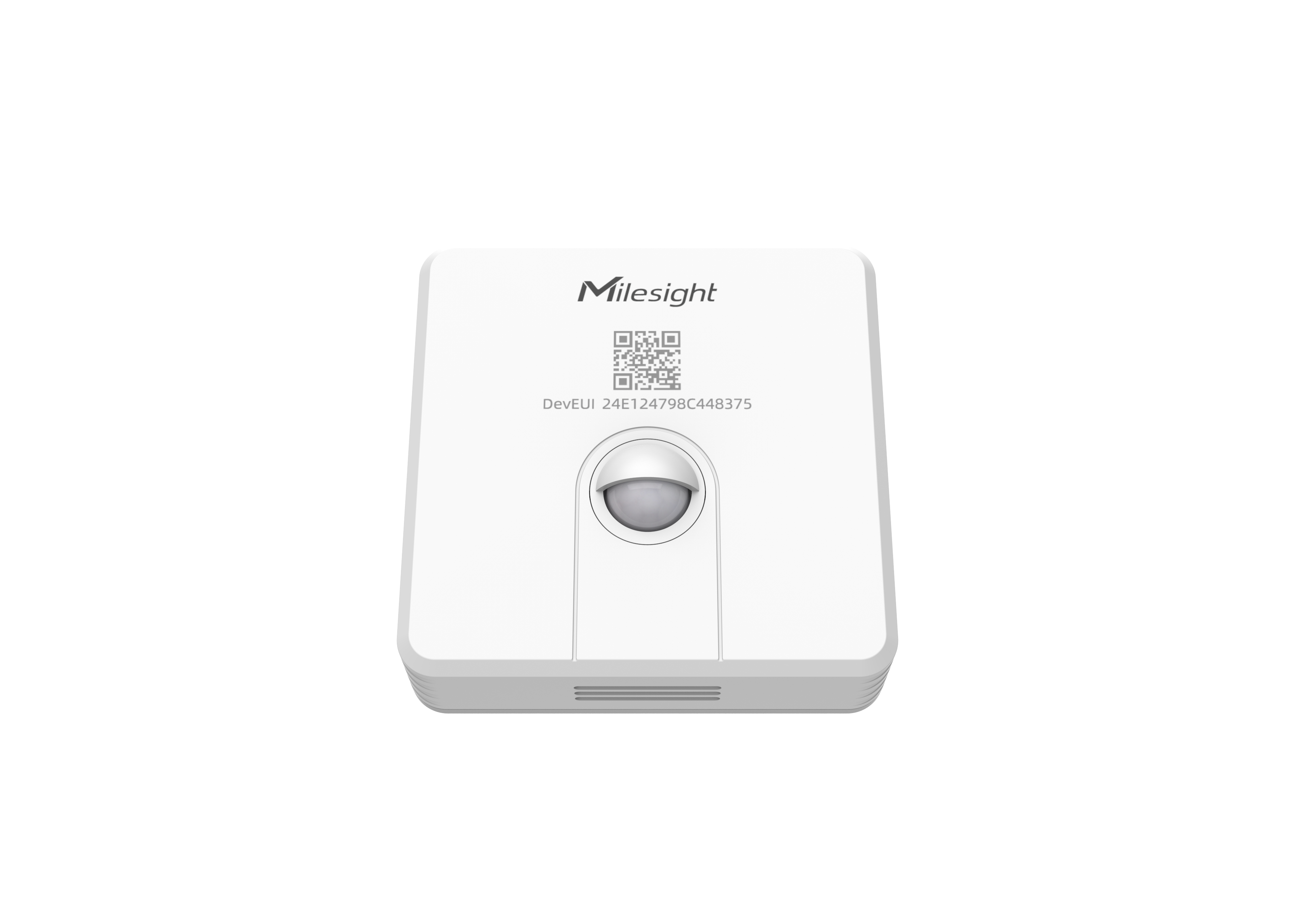 WS203 (1).png
