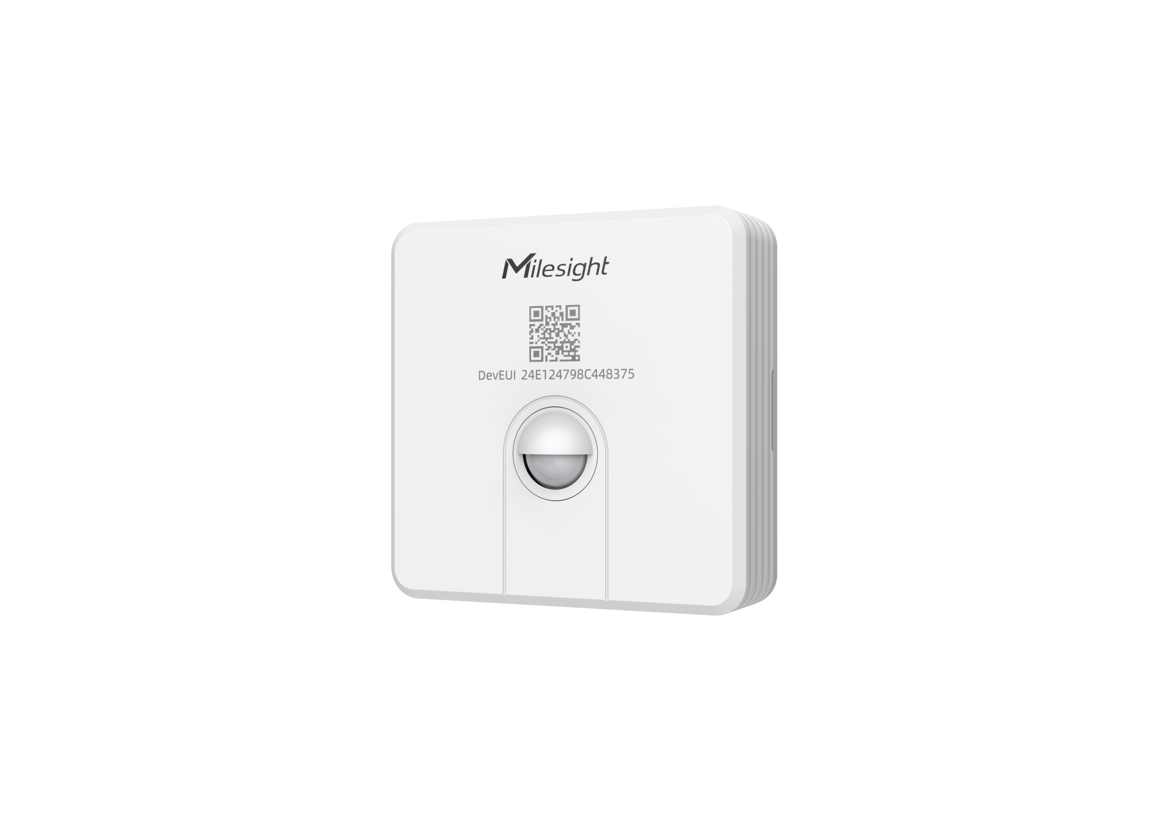 WS203 (2).png
